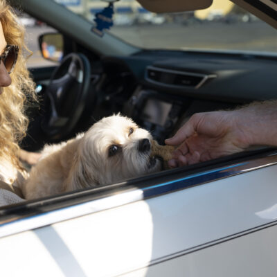 Customer enjoys car wash with dog