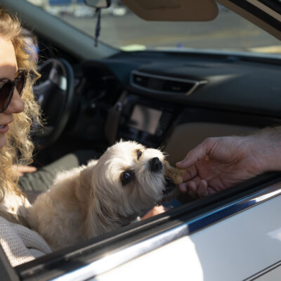 Customer with dog enjoys car wash 